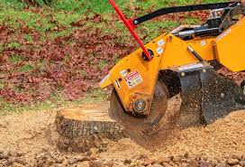 Lawn Pest Prevention in Platteville, WI