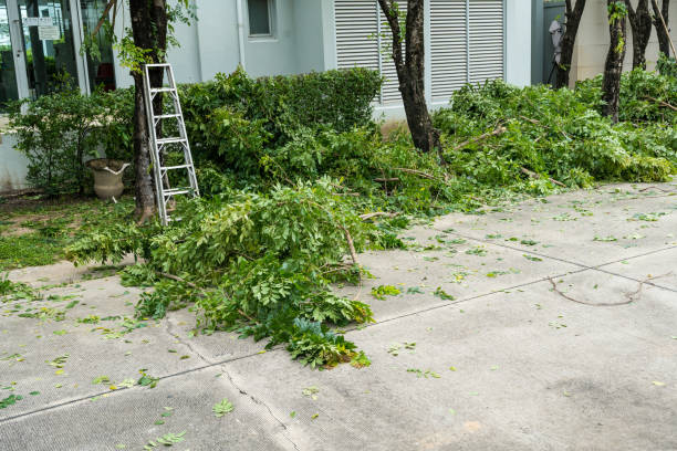 Best Arborist Consultation Services  in Platteville, WI